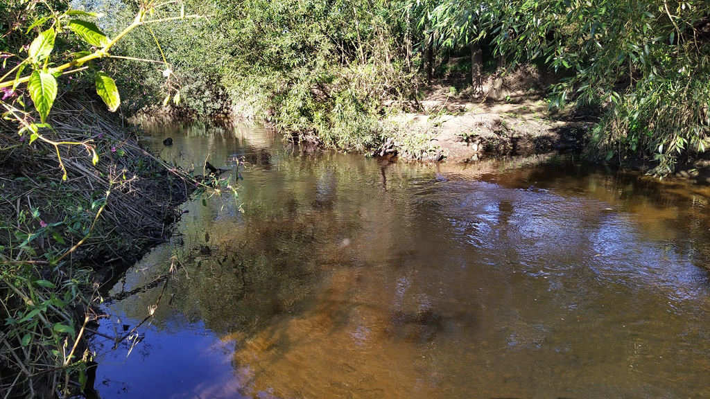 River Dove looking beautiful